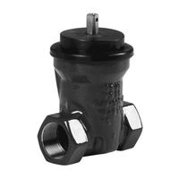 Wild Saracinesche con filetto Tipo 1004