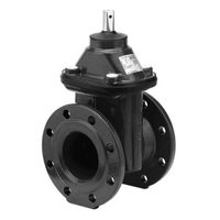 Wild Saracinesca a flange, Fig. 2004