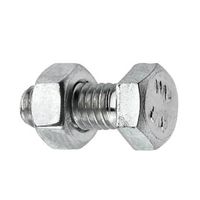 Viti Regla 6KT, zincato, con i dadi