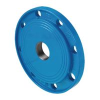 HAWLE, Flangia filettata, 8100