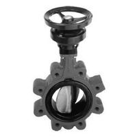 Boax-SF, Valvola a farfalla con trasmissione