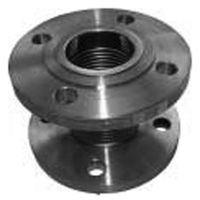 Smorzatore di oscillazioni Edelstahl PN6