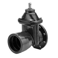 Wild Saracinesca con flangia e manicotto autostagno Novo-Sit Fig. 2004 FN