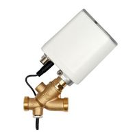 +GF+ JRG Hycleen LegioTherm 2T Valvola di circolazione con regolatore DN20