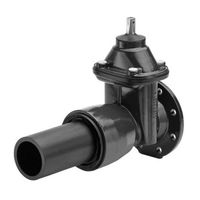 Wild Saracinesca a flangia con estremità in PE Fig. 2004 NFPE